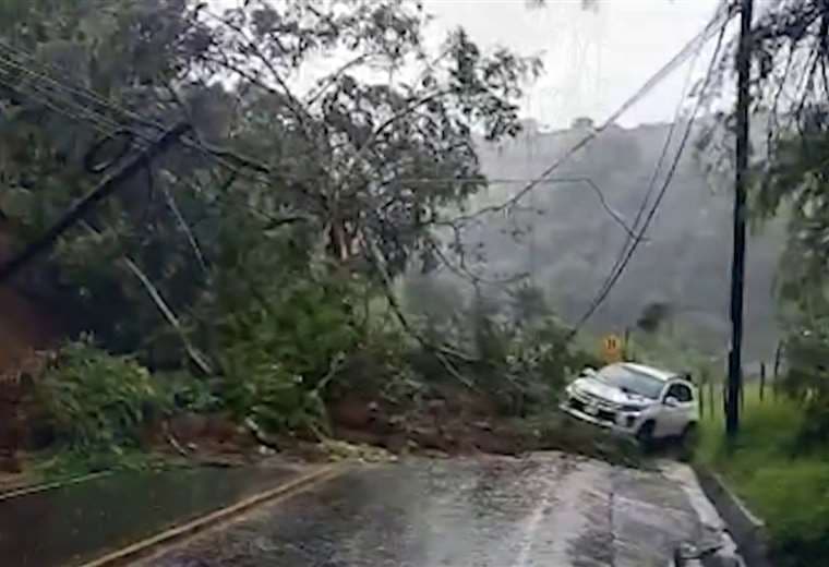 Las fuertes lluvias también generaron afectaciones en Zarcero