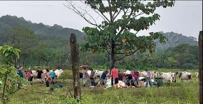 Imagen Colosal Informa