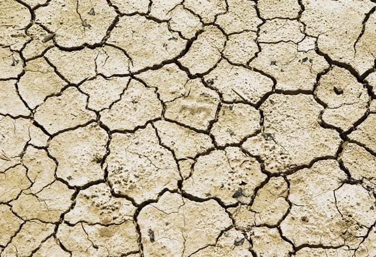 CNE lidera acciones para mitigar sequía por fenómeno de El Niño