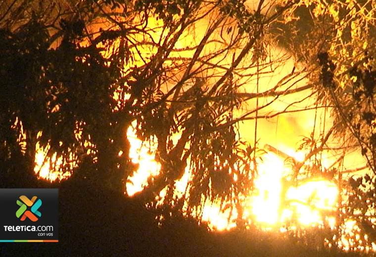 Cuatro áreas protegidas han sido las más afectadas por incendios forestales