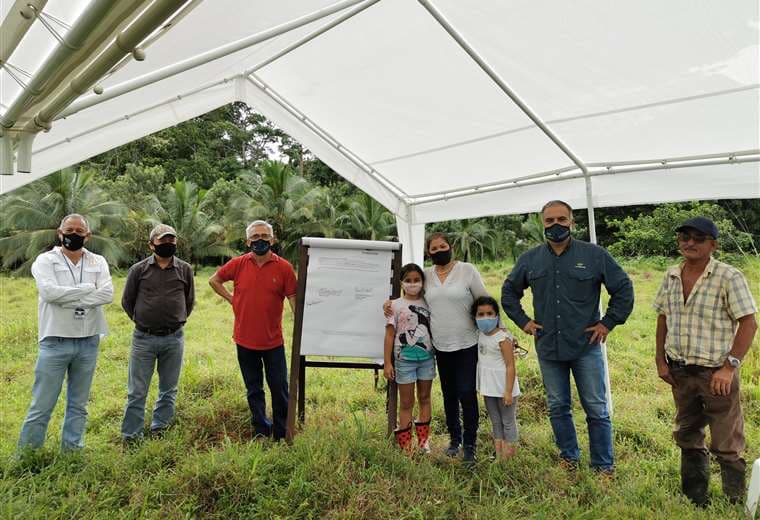 Arranca plan piloto de reforestación en Sarapiquí