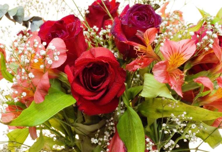 Campaña ‘Dígaselo con flores’ desea agradecer al personal médico por su entrega
