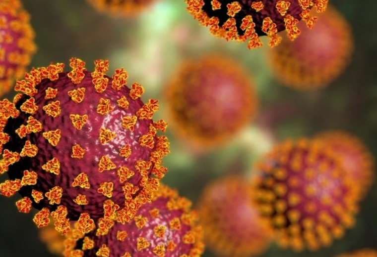 Coronavirus: 4 señales que alertan sobre las variantes peligrosas