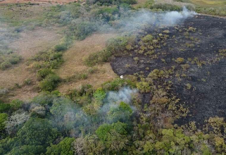 Bomberos forestales combaten tres incendios simultáneos en Guanacaste