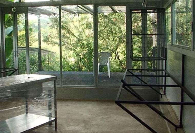 Zoo Ave construye un hospital veterinario en Alajuela