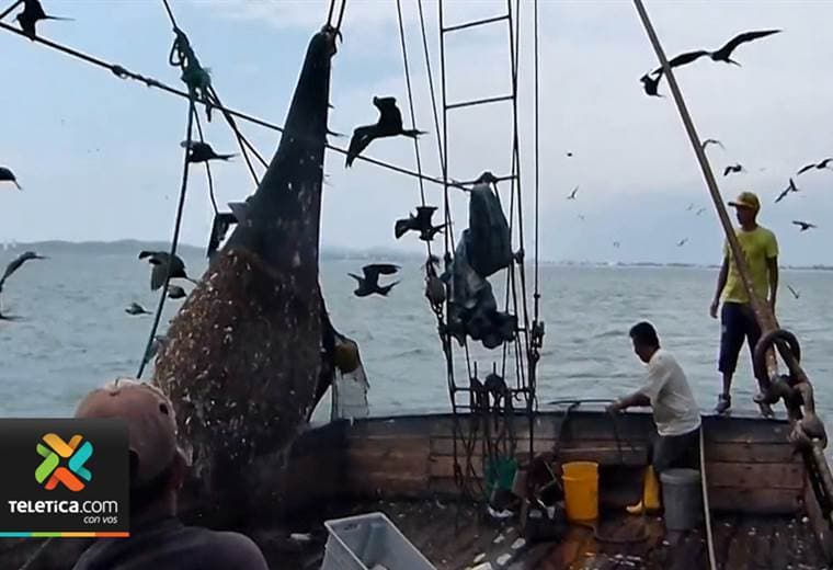 Gobierno revisará "con seriedad y responsabilidad" proyecto de pesca de arrastre