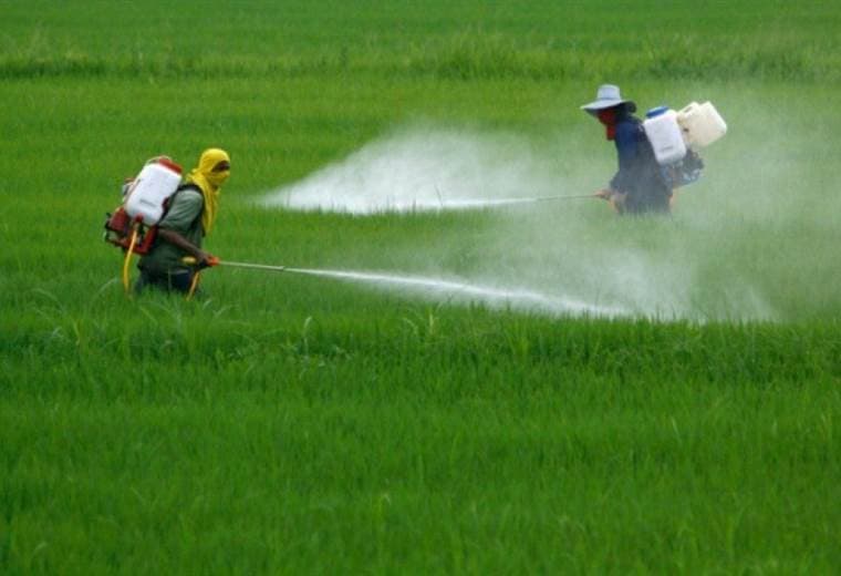 Condenan a Monsanto a pagar $2.000 millones a pareja con cáncer por herbicida Roundup