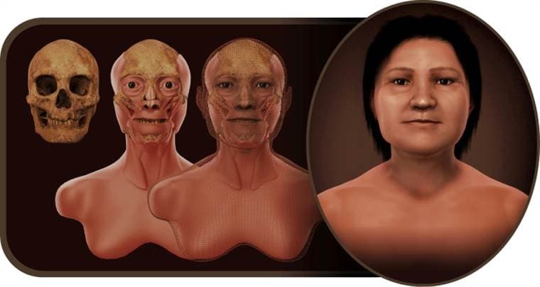 Le ponen rostro al cráneo más antiguo hallado en Uruguay