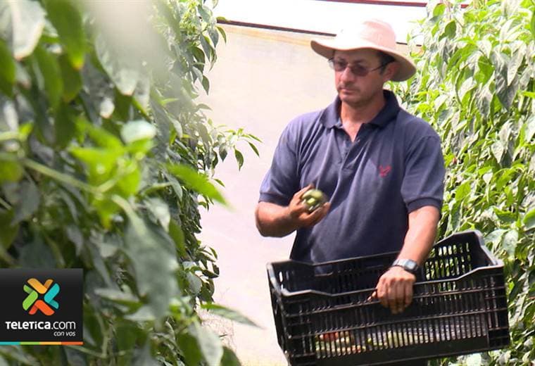 Productores de Santa Ana recibirán una certificación de prácticas agrícolas sostenibles