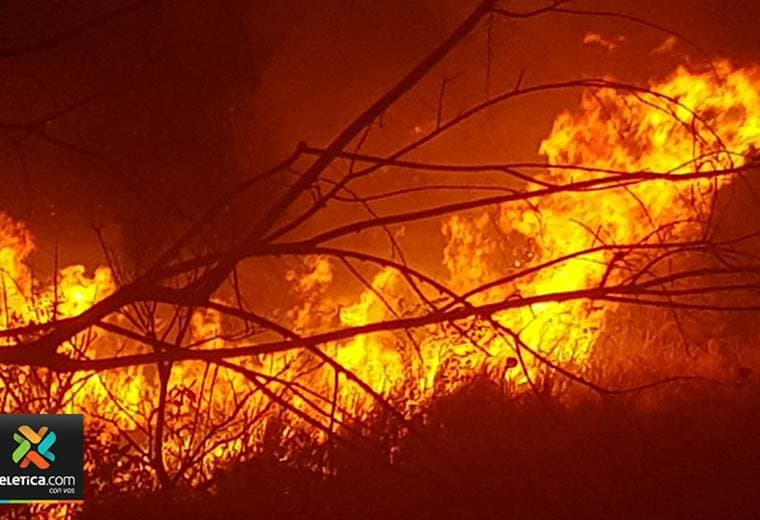 Incendios arrasan más de 700 hectáreas de bosque en Guatemala