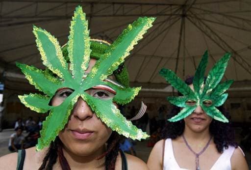 Proyecto de ley permitirá creación de "clubes de consumo" recreativo de cannabis