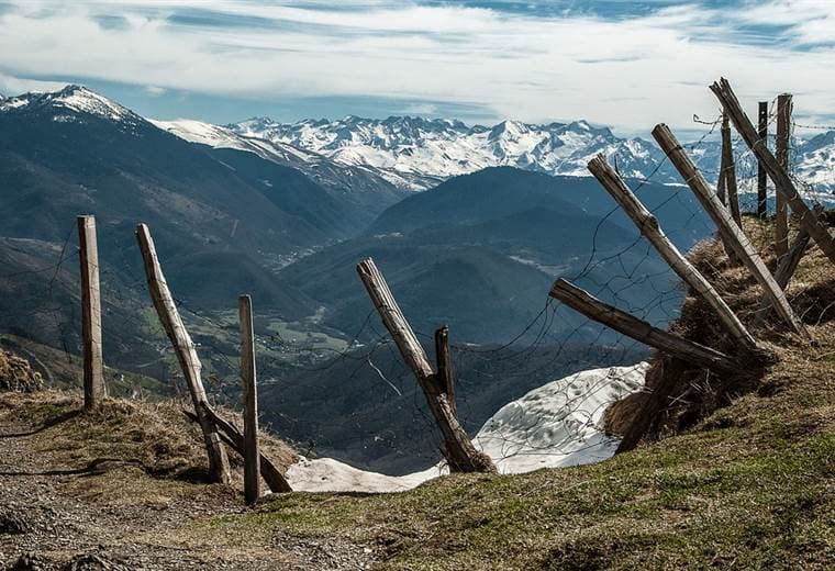 La difícil coexistencia de osos y ganaderos en los Pirineos