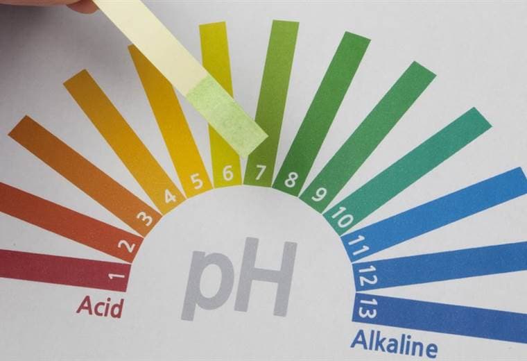 ¿Para qué sirve el pH, quien lo inventó y por qué lo homenajea Google?