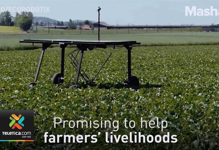 Robots de última tecnología aparecen en todos los campos, incluso en el agrícola