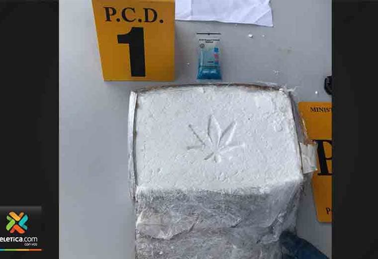 PCD decomisa 256 kilogramos de cocaína ocultos en pared de contenedor 