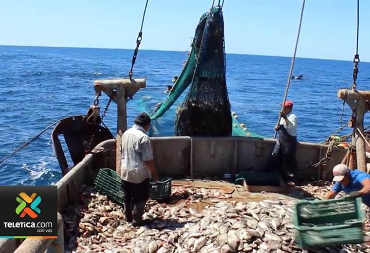 MINAE lamenta aprobación de pesca de arrastre sin base científica