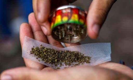 Francia abre debate sobre la legalización del cannabis