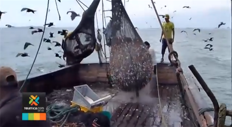 “No hay plan B”, dicen pescadores puntarenenses tras veto definitivo a pesca de arrastre