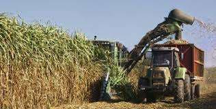 Azucareros nacionales insisten en aumentar los impuestos a las importaciones de azúcar 