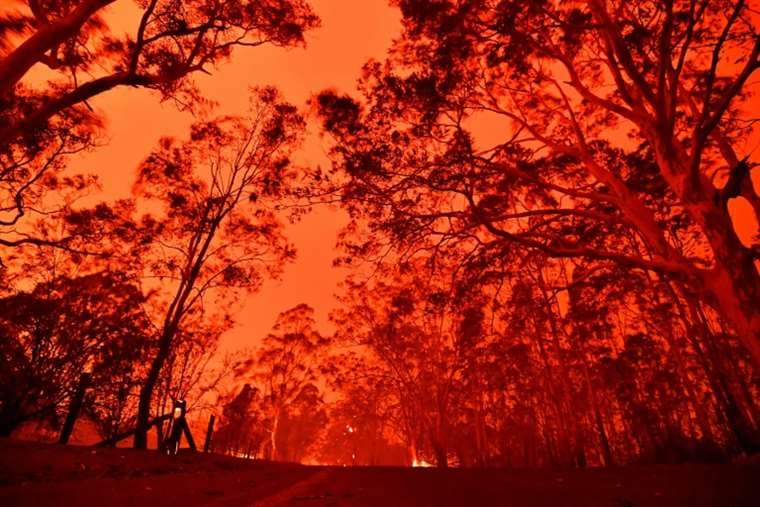 Incendios de EE.UU. queman récord de más de 800.000 hectáreas