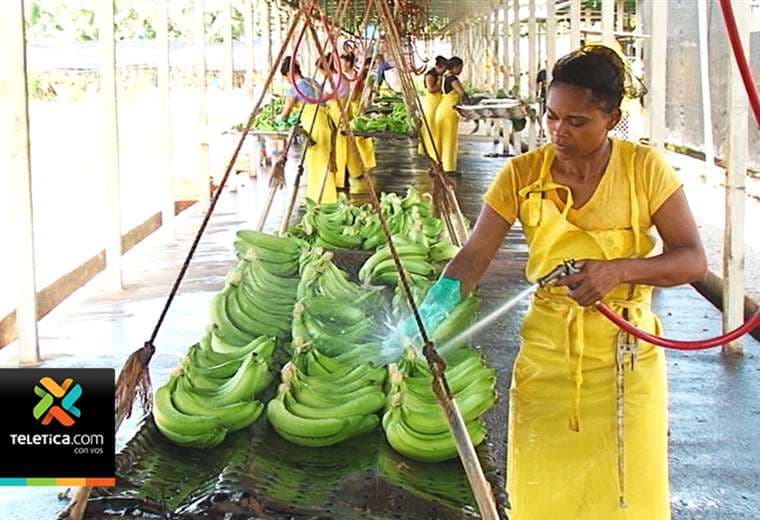 Costa Rica impulsa programa para que más mujeres exporten sus productos