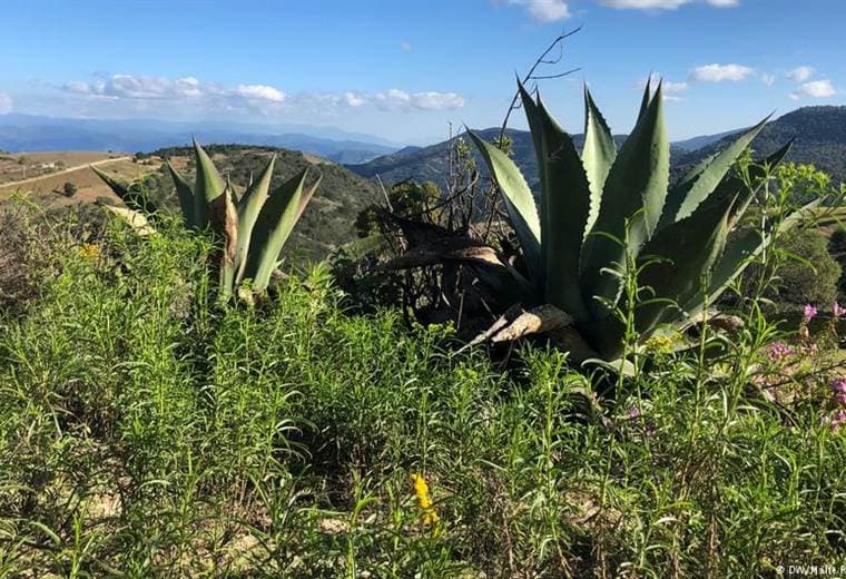 En México el ecoturismo asegura la supervivencia de la agricultura tradicional