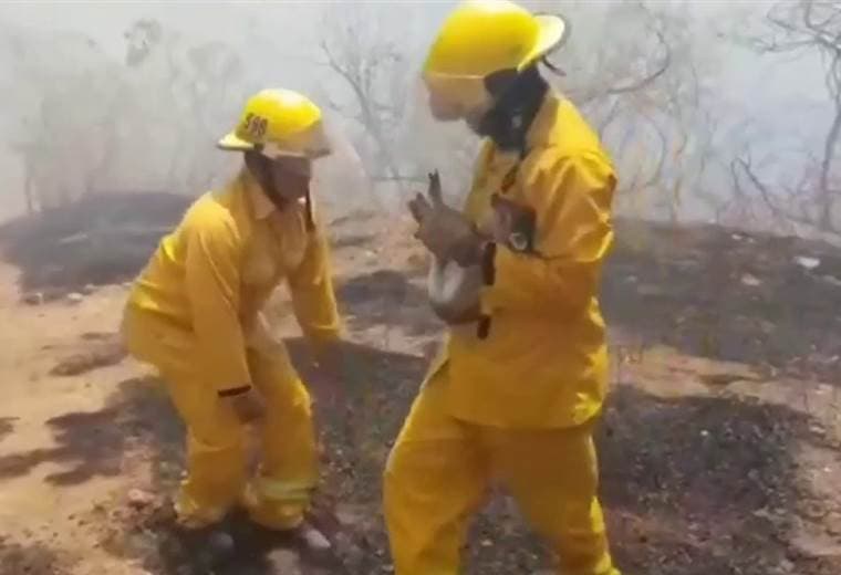 Bomberos piden evitar quemas en charrales que ponen en riesgo vegetación y animales
