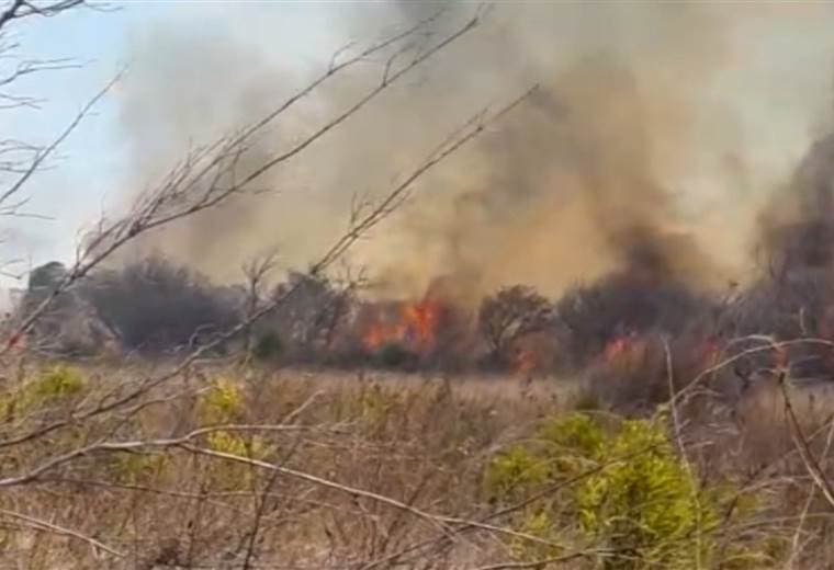 Áreas silvestres protegidas sufren por los incendios forestales que azotan el país