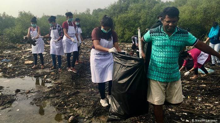 Salvando los manglares de Bombay, barreras de protección natural contra las inundaciones
