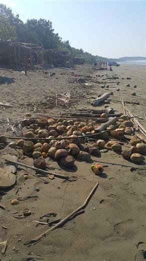 Vecinos hallan osamenta a la orilla de la playa en Bahía Drake