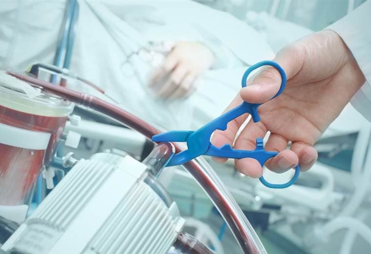 Colegio de Médicos podría tardar hasta un mes para emitir criterio sobre eutanasia