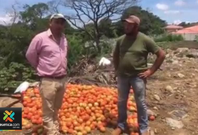Ministro dice que vídeo en que se botan 30 mil kilos de tomate desplomó el precio de  ese producto 