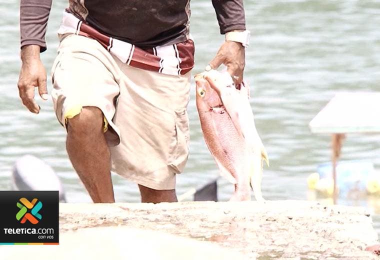 Pescadores inscritos en Incopesca recibirán ayuda por la veda que se aplicará en Golfo de Nicoya