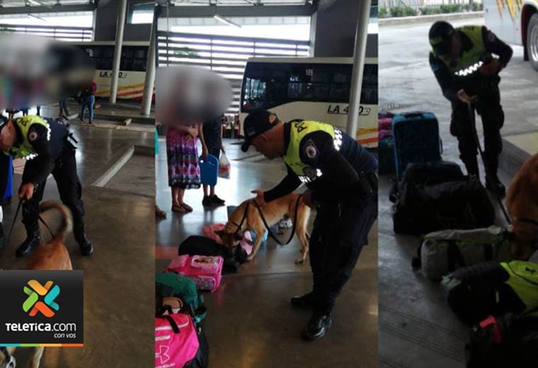 Policía Municipal de San José realiza operativos en buses para frenar tráfico de drogas