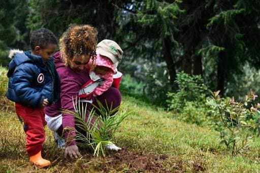 Etiopía pretende plantar 4.000 millones de árboles contra el cambio climático
