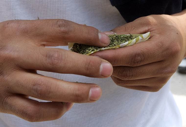 Marihuana |AFP.
