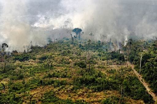 Sequía e incendios sin precedentes causan estragos en América del Sur