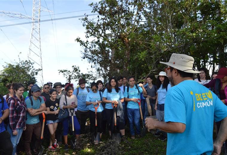 Municipalidad de Montes de Oca convoca a voluntarios para sembrar 3.000 árboles