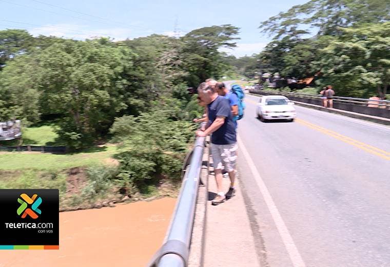Turistas reconocen el peligro al que se exponen a ver cocodrilos en puente sobre río Tárcoles