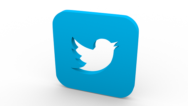 Twitter cae en bolsa tras crecimiento decepcionante de número de usuarios
