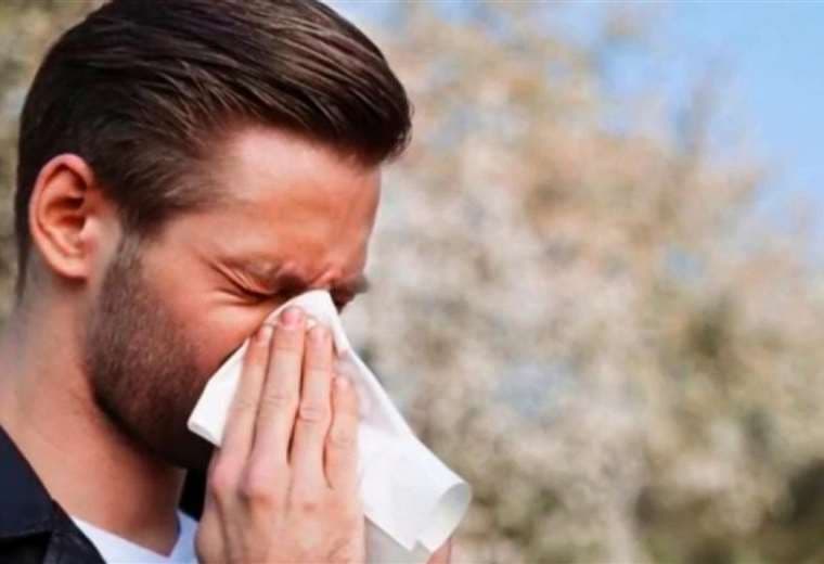 ¿Cómo reducir factores desencadenantes de rinitis alérgica?