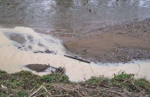 Fiscalía Ambiental pide medidas cautelares contra lechería investigada
por contaminación de río