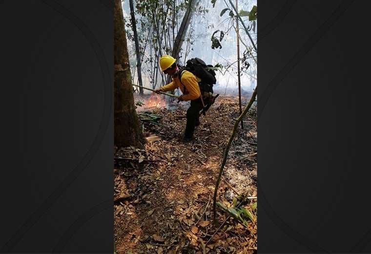 Altas temperaturas complican trabajo de bomberos en incendio forestal cercano al Parque Nacional Chirripó