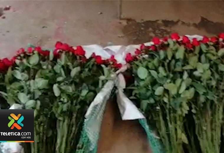 Floristería de Cartago ofrece rosas casa por casa para no perder cosecha