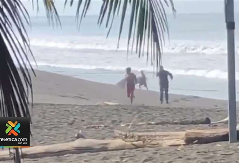 Seguridad Pública investiga a oficial por supuestos disparos contra surfista en Garabito