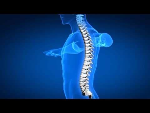 Hablamos sobre el dolor de espalda y cuello