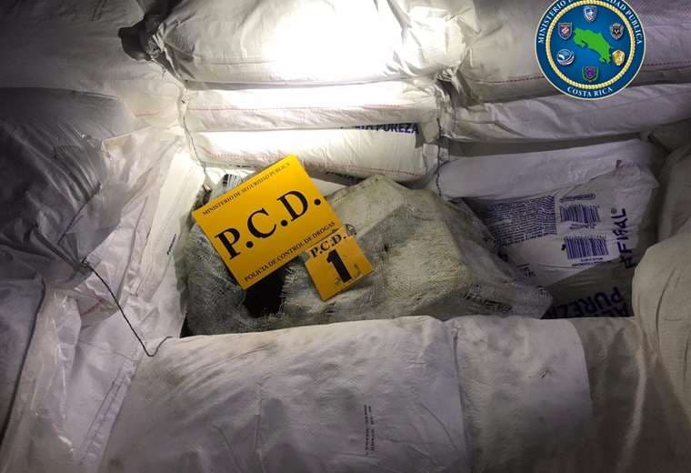 Otro golpe al narco: PCD encuentra más de media tonelada de cocaína oculta en sacos de sal