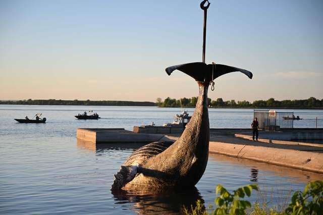La ballena muerta cerca de Montreal probablemente fue víctima de un barco