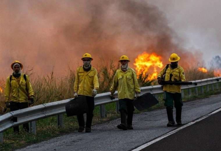 Incendios en Pantanal brasileño registran el peor mes de julio