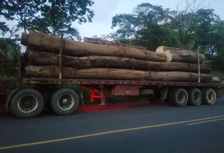 Autoridades decomisan millonario cargamento de madera en Limón